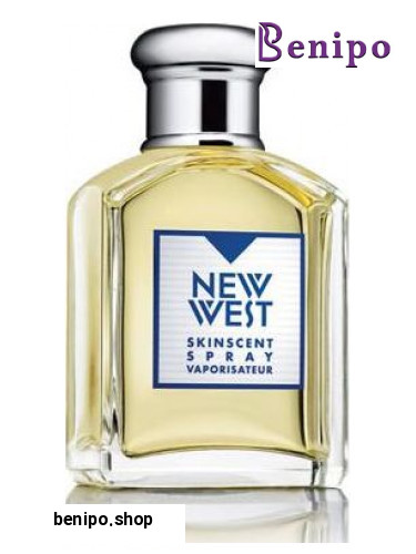 ادوتویلت مردانه مدل New West حجم 100 میل