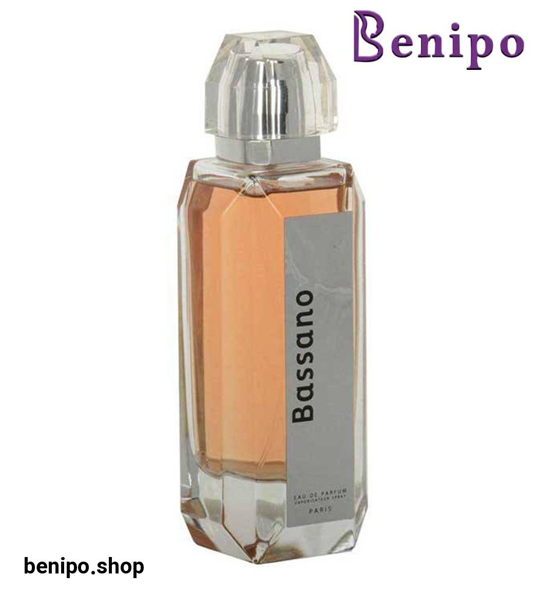 ادوپرفیوم مردانه مدل Silver حجم 100میلی لیتر