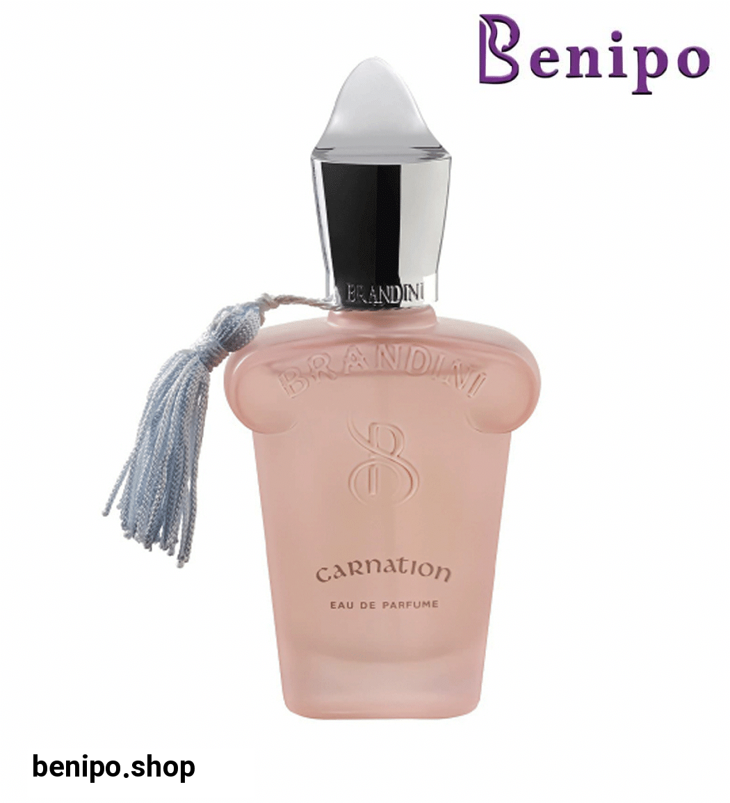 ادکلن کارنیشن 33 میل