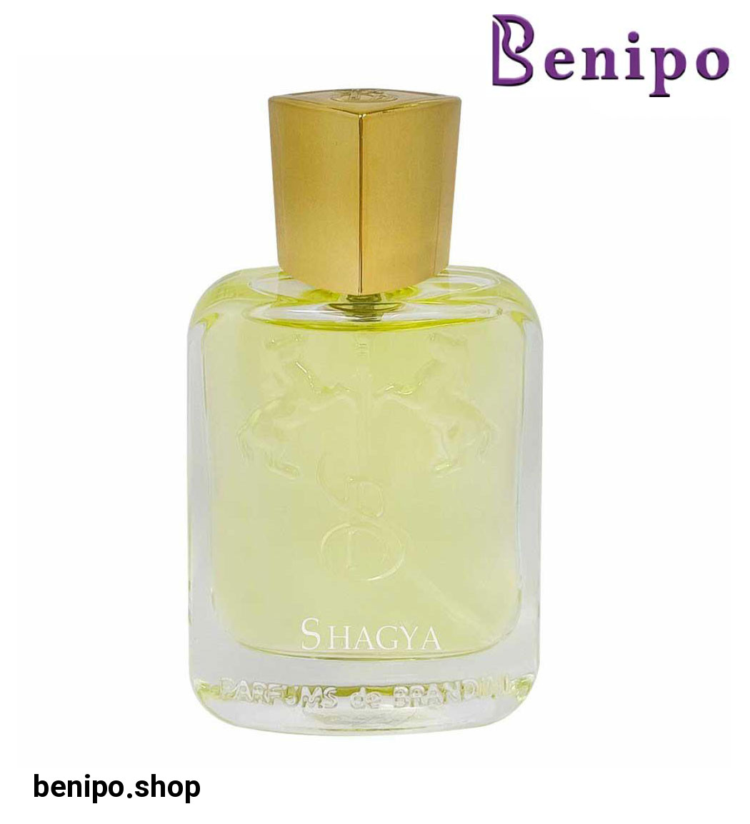 عطر مردانه Shagya حجم 33میل