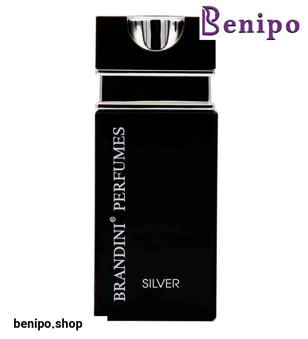 ادو پرفیوم جیبی مردانه مدل Silver حجم 25 میل