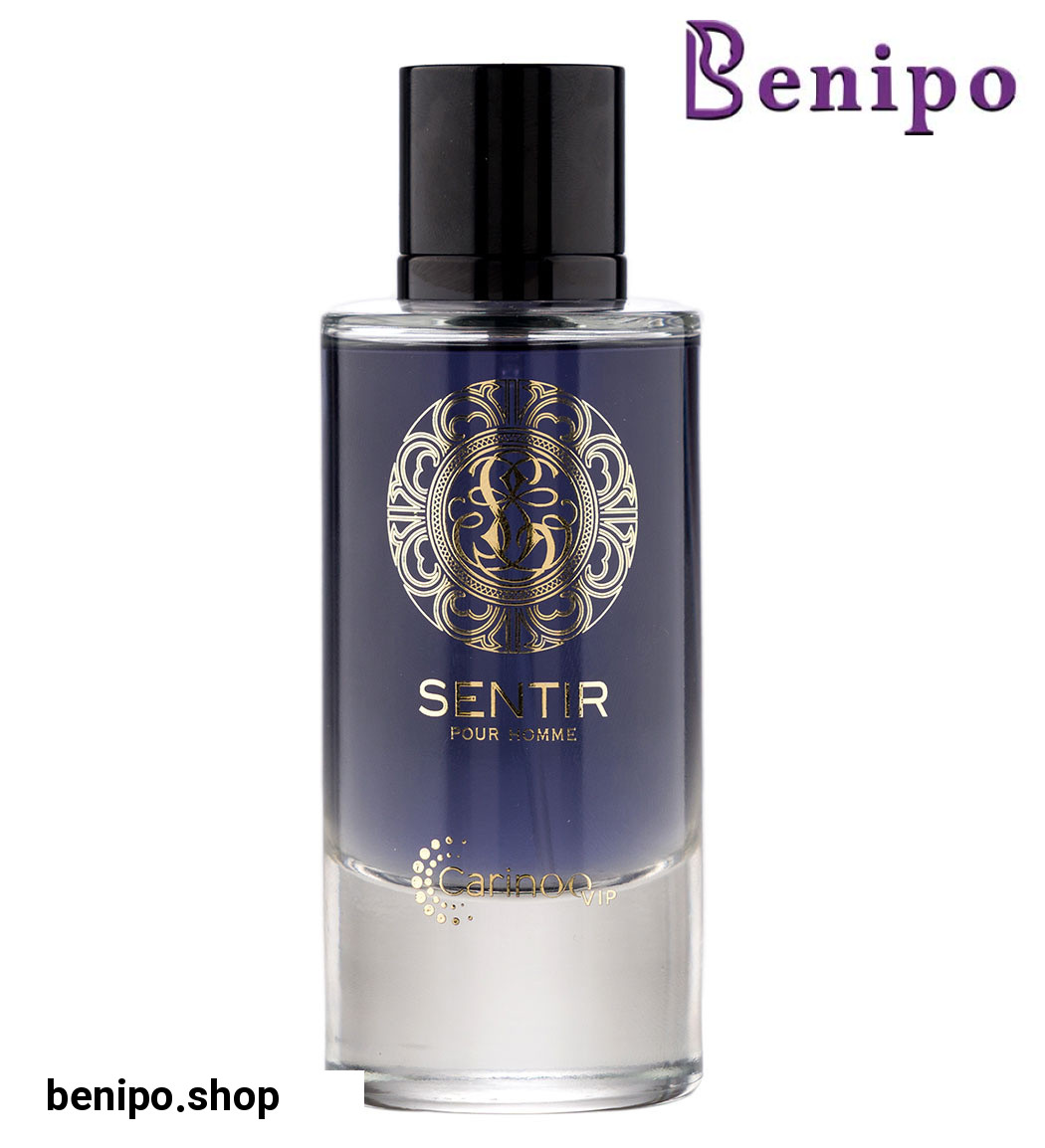 ادوپرفیوم مردانه مدل Senter حجم 100میل