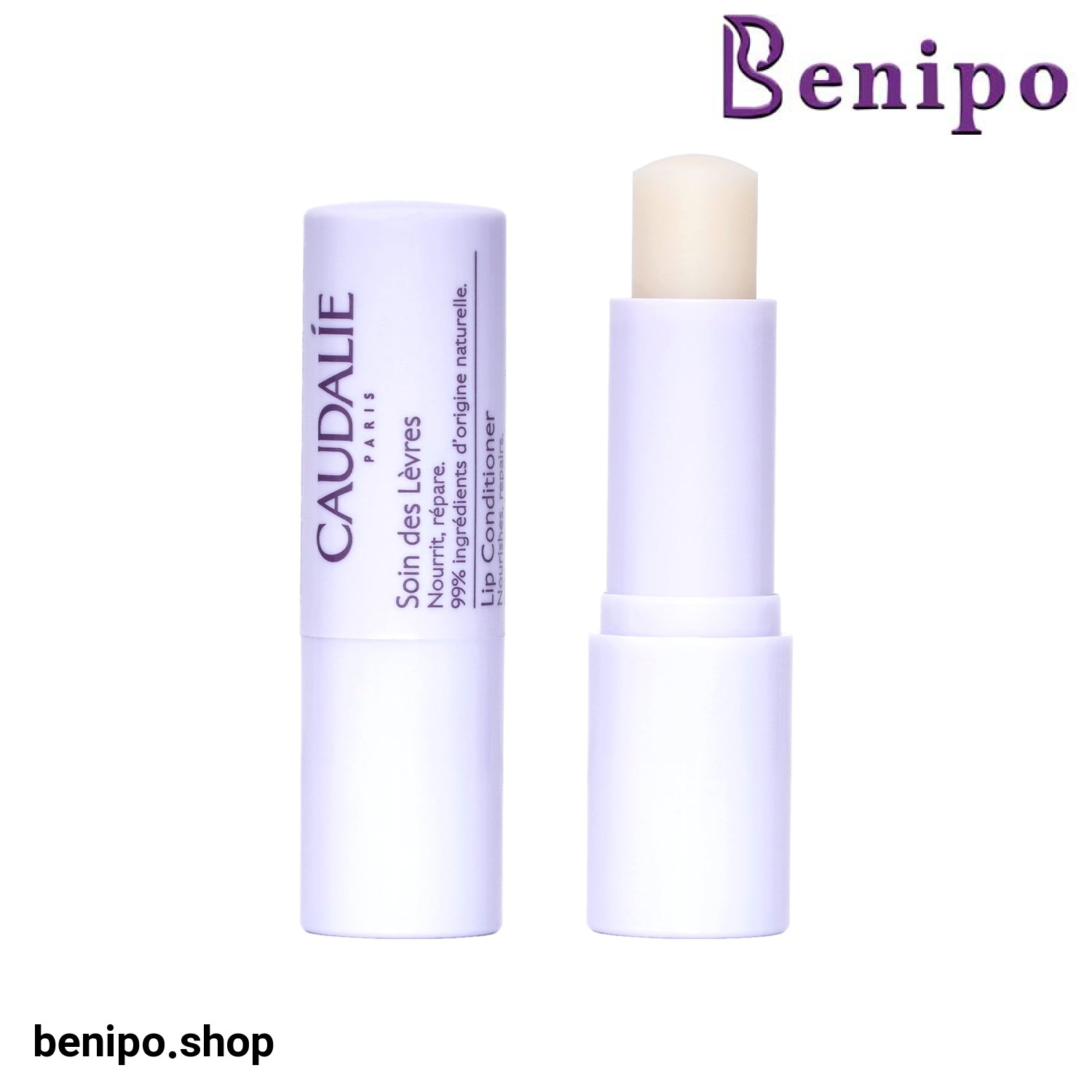 بالم لب کدلی