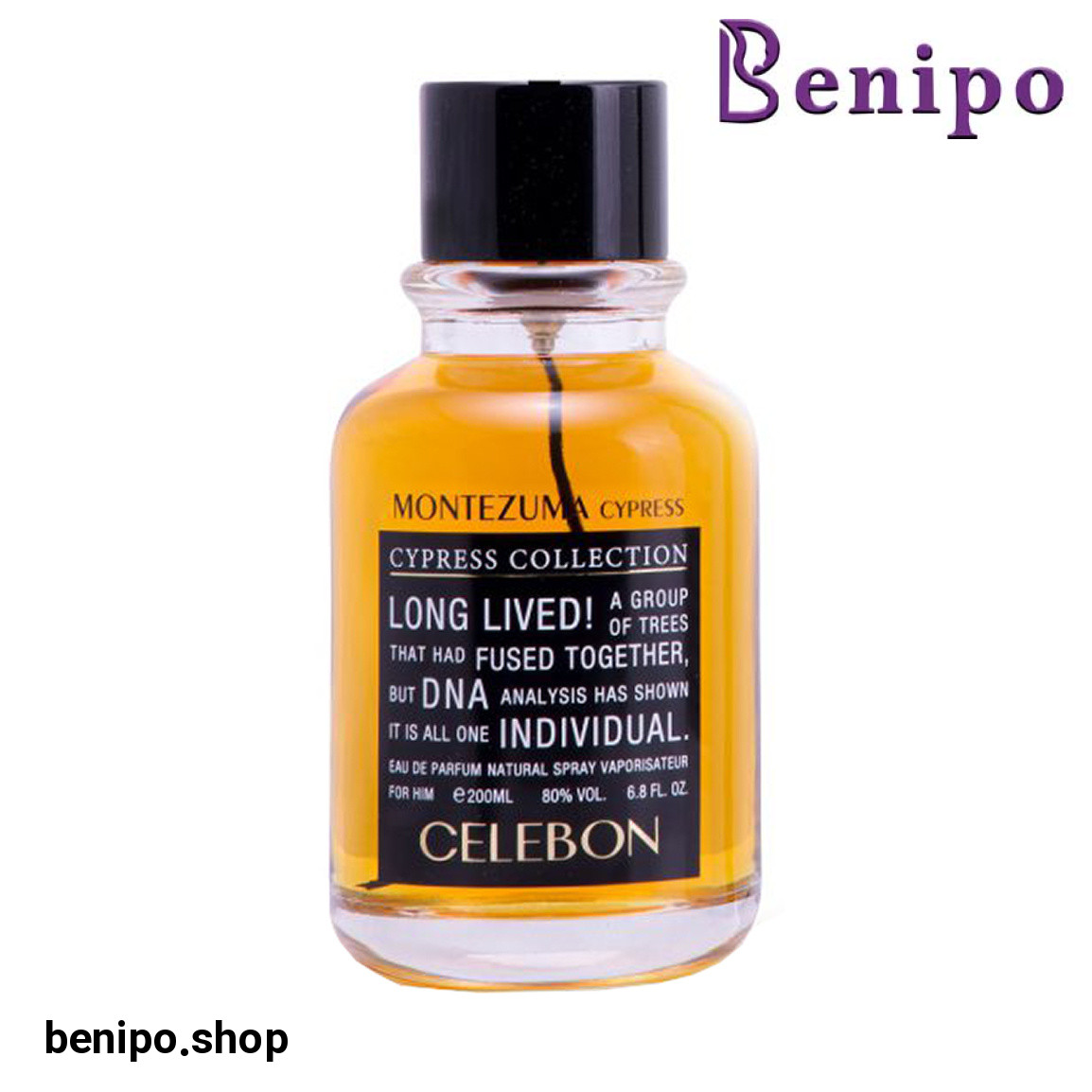 ادوپرفیوم مردانه مدل Montezuma Cypress حجم 200 میلی لیتر