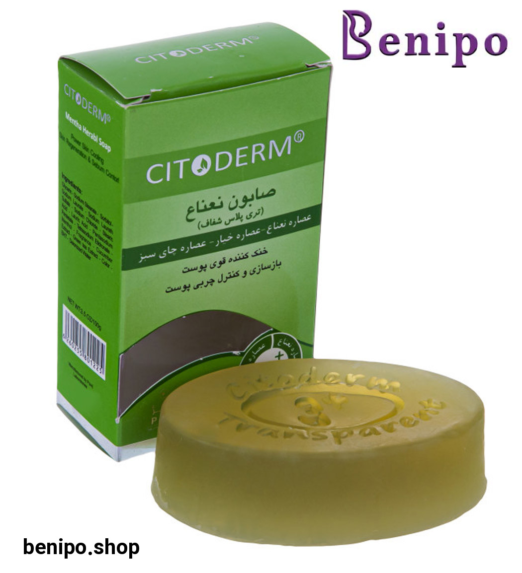 صابون نعناع 100گرمی