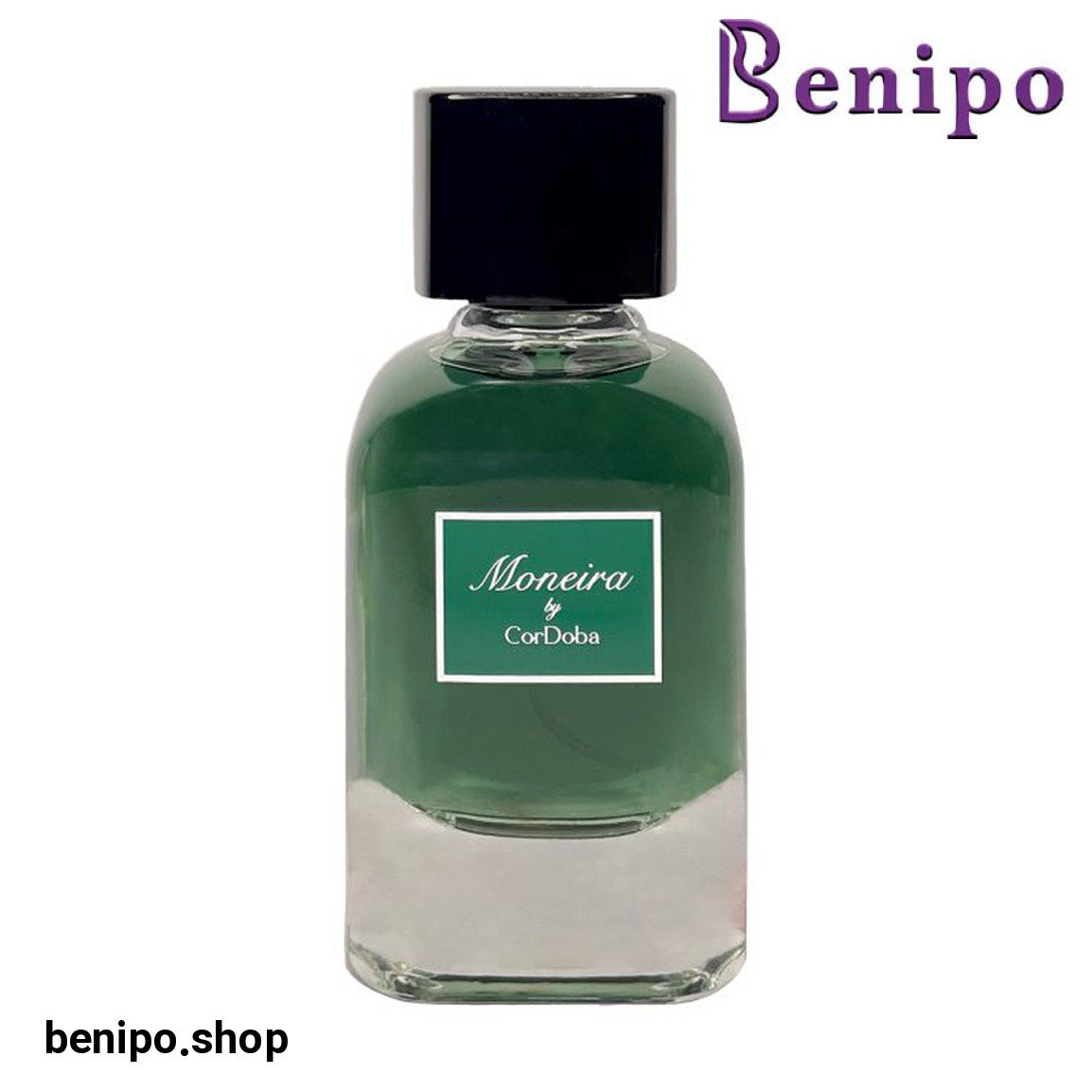 ادوپرفیوم مردانه مدل Moneira حجم 100 میلی لیتر
