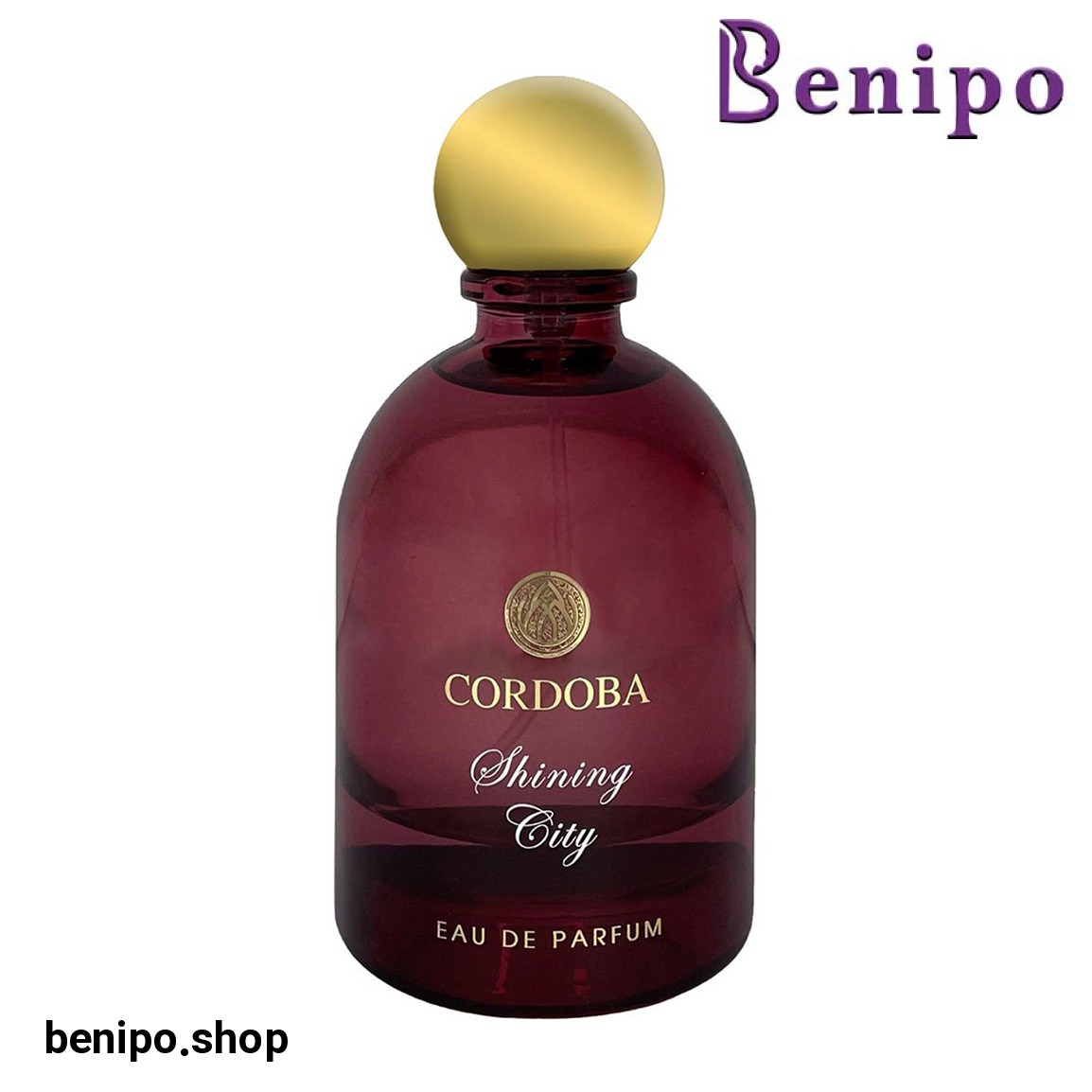 ادوپرفیوم زنانه مدل Shining City حجم 100 میلی لیتر