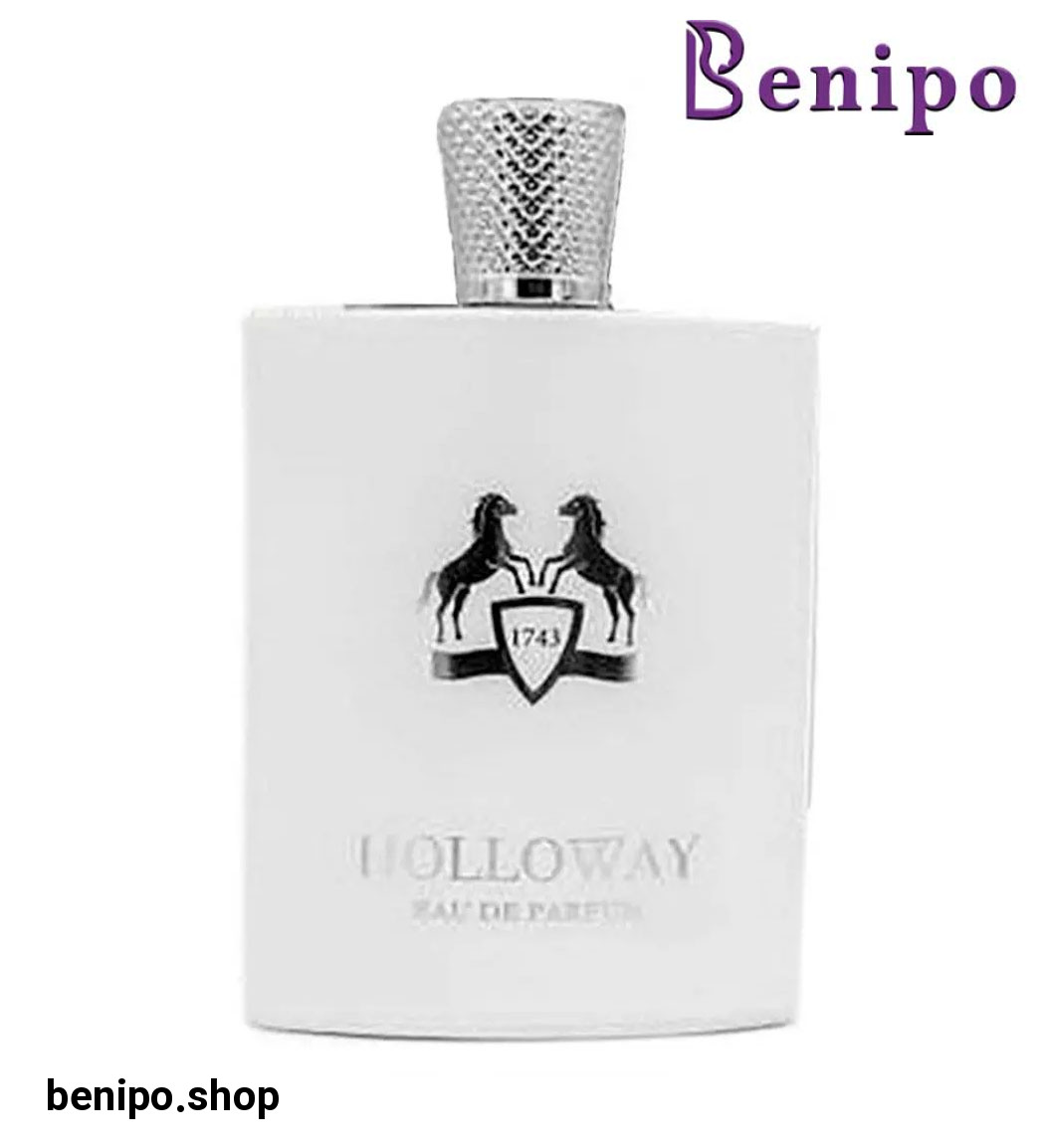 ادوپرفیوم مردانه مدل Halloway حجم 100 میل