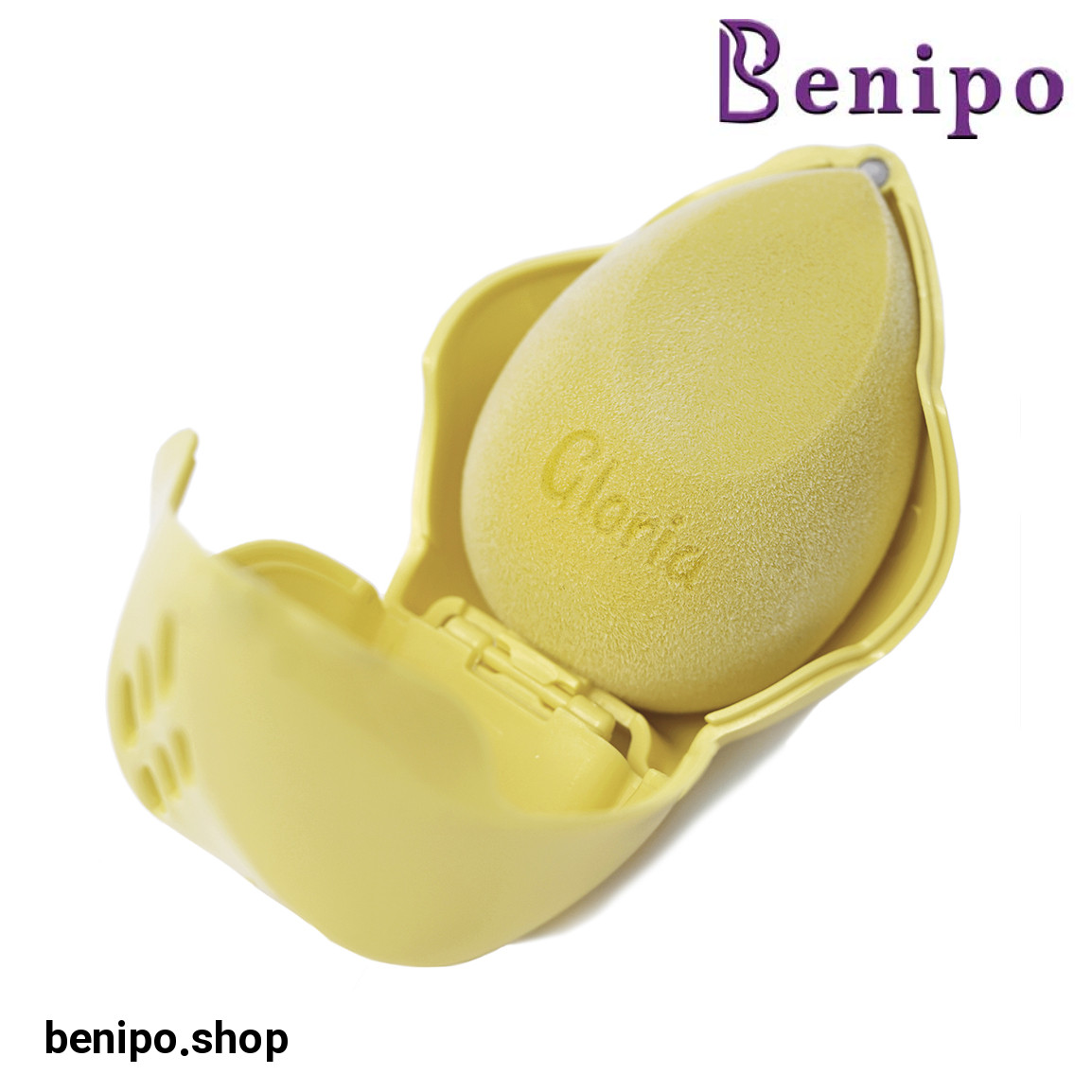 ست کیس نگهدارنده و اسفنج میکروفایبر گلوریا