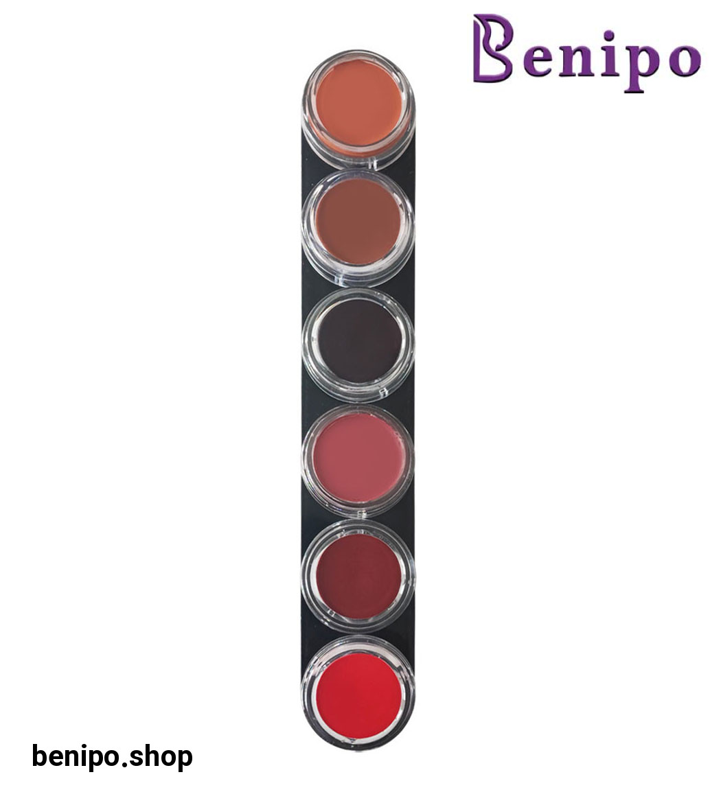 پالت رژ لب 6 رنگ