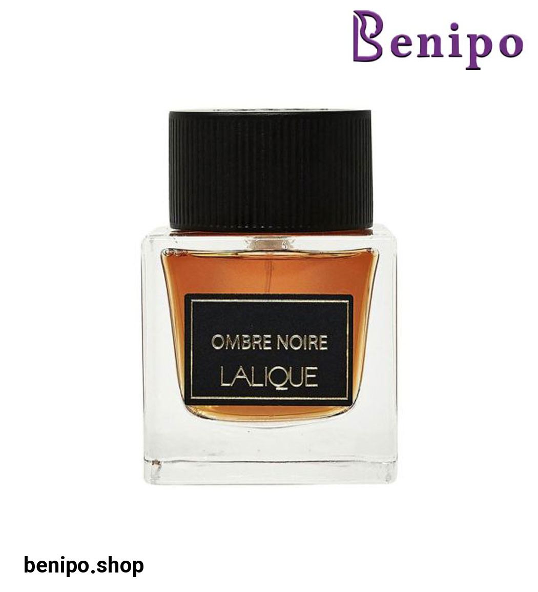 ادو تویلت مردانه مدل Ombre Noire حجم 100 میل