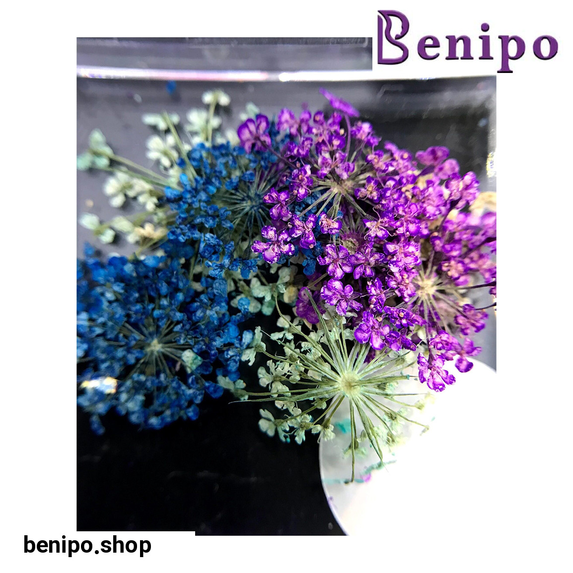 دیزاین گل خشک ناخن مدل LA2