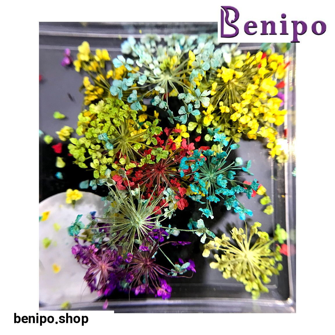 دیزاین گل خشک ناخن مدل LA4