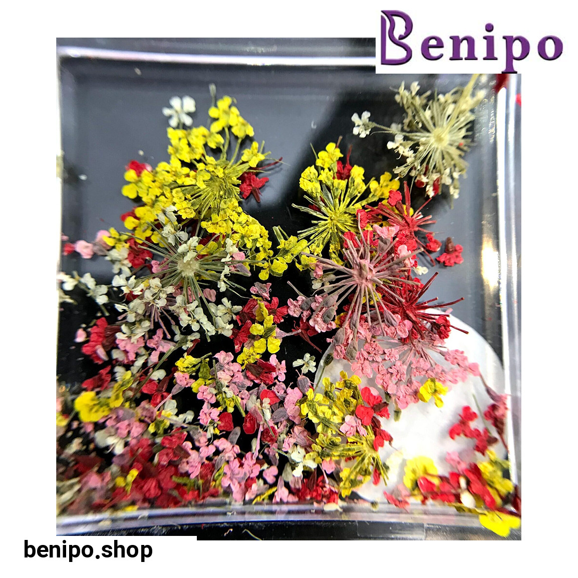 دیزاین گل خشک ناخن مدل LA6