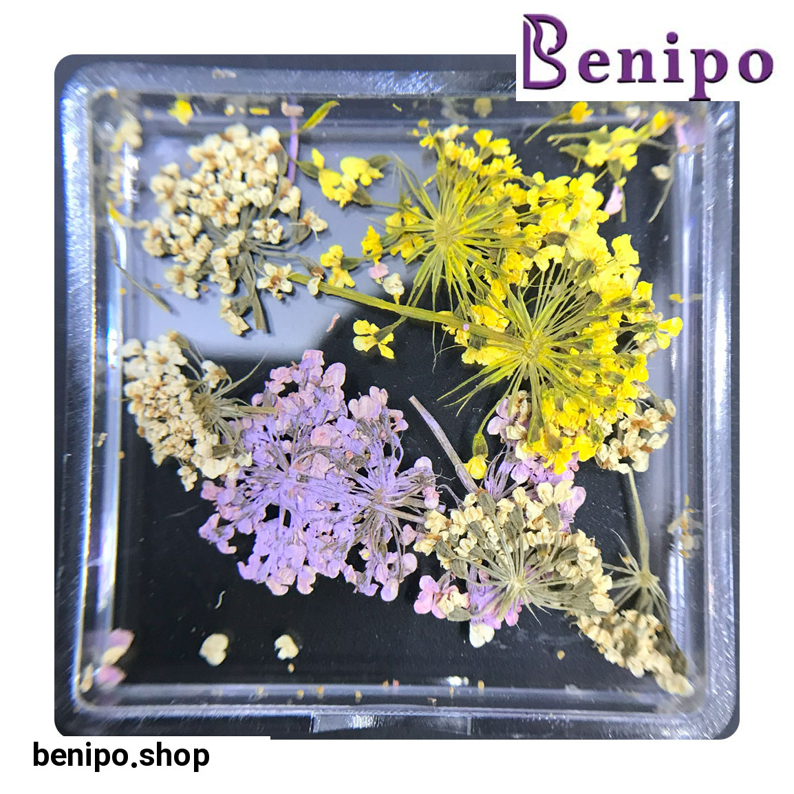 دیزاین گل خشک ناخن مدل FN01