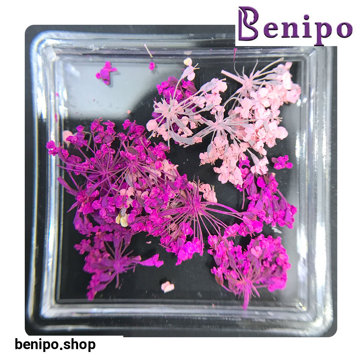 دیزاین گل خشک ناخن مدل FN02