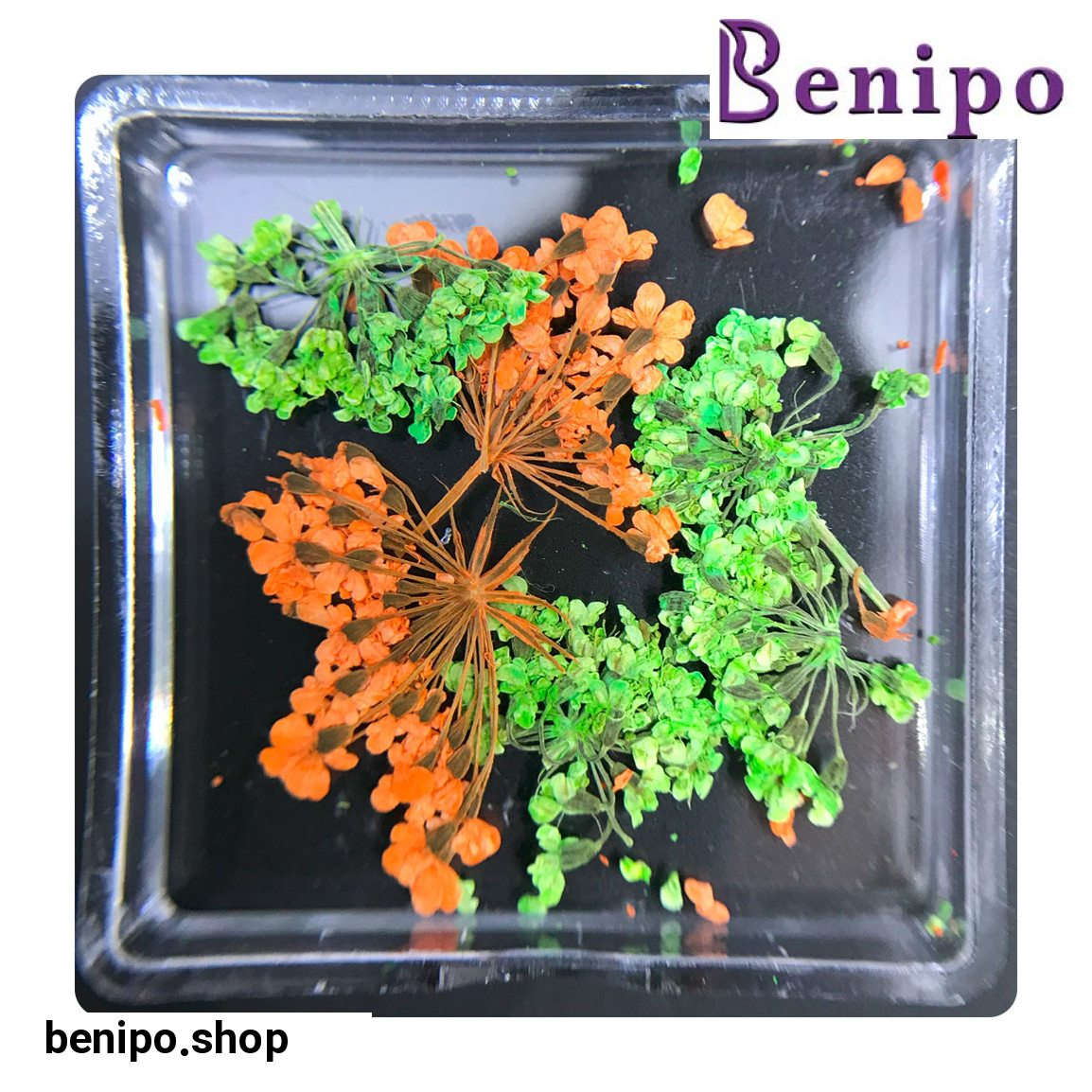 دیزاین گل خشک ناخن مدل FN06