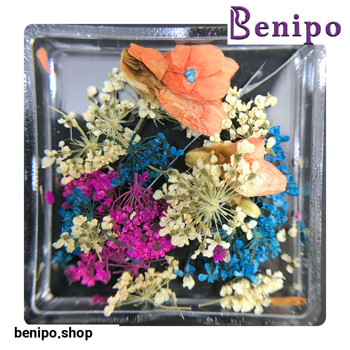 دیزاین گل خشک ناخن مدل FN08