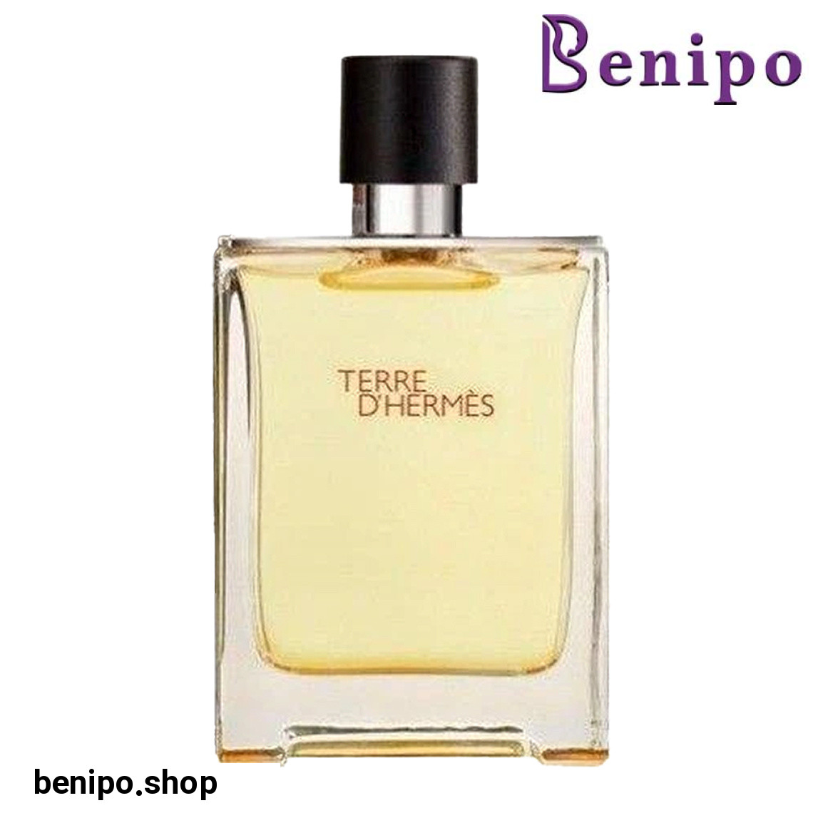 ادو پرفیوم مردانه مدل Terre D Hermes حجم 100 میلی لیتر