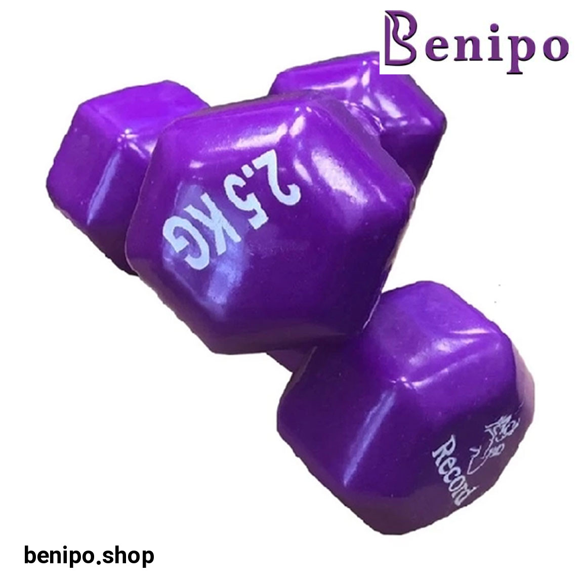 دمبل مدل Record202 وزن 2.5 کیلو گرم بسته 2 عددی