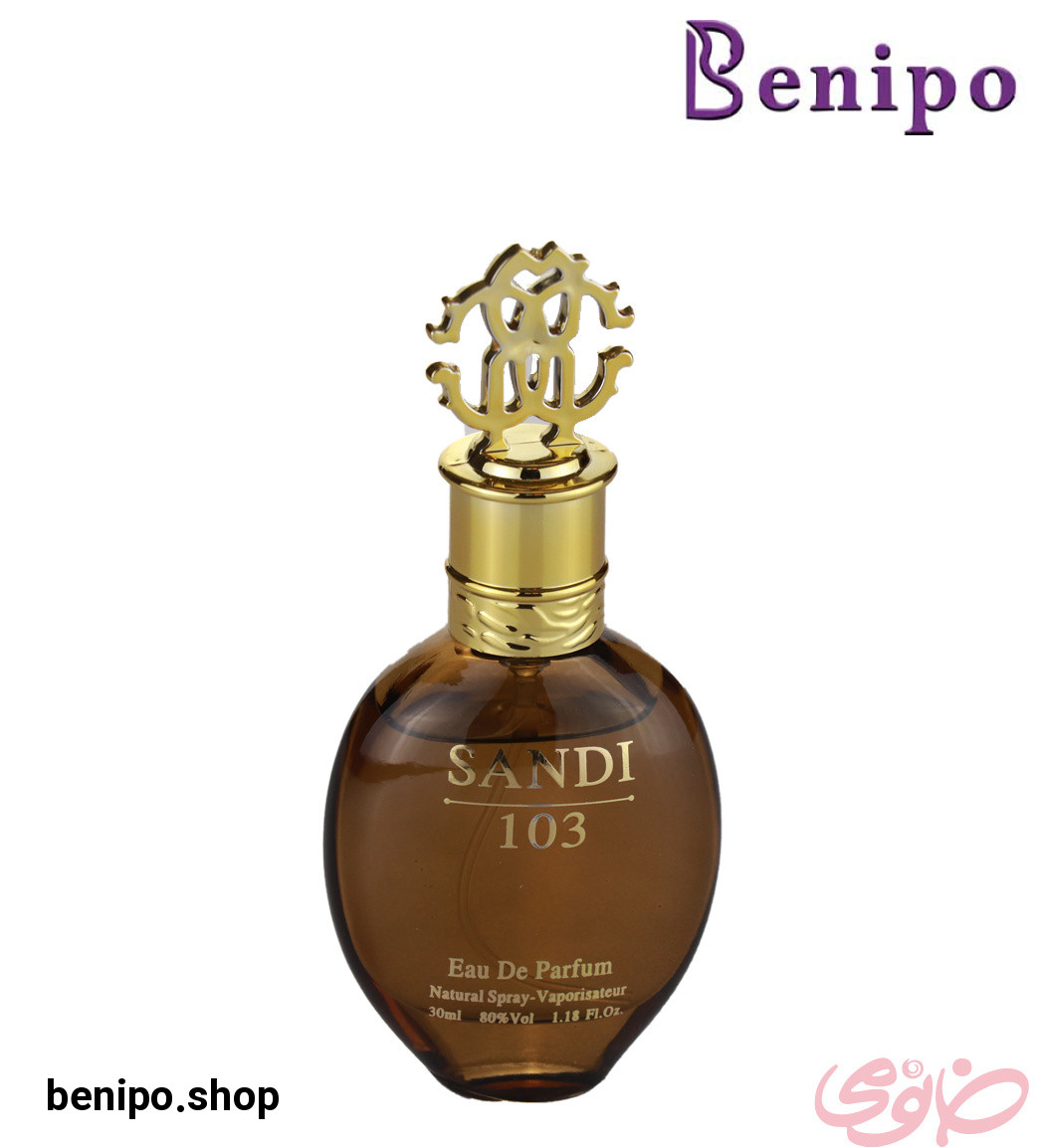 عطر جیبی 30 میل مردانه کد 103
