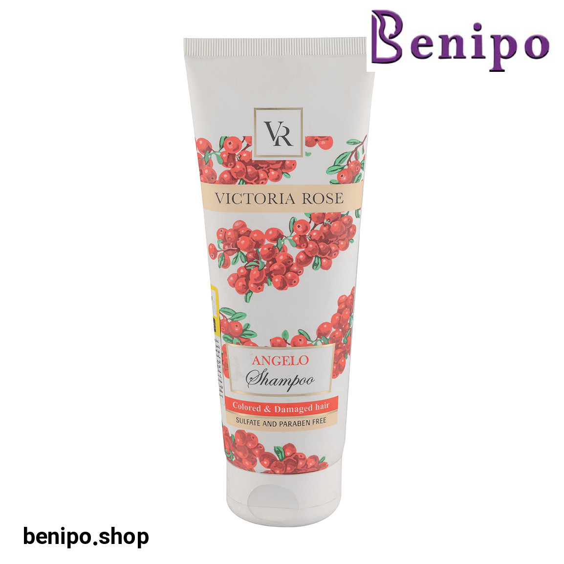 شامپو مدل آنجلو مناسب موهای رنگ شده و آسیب دیده حجم 250 میلی لیتر