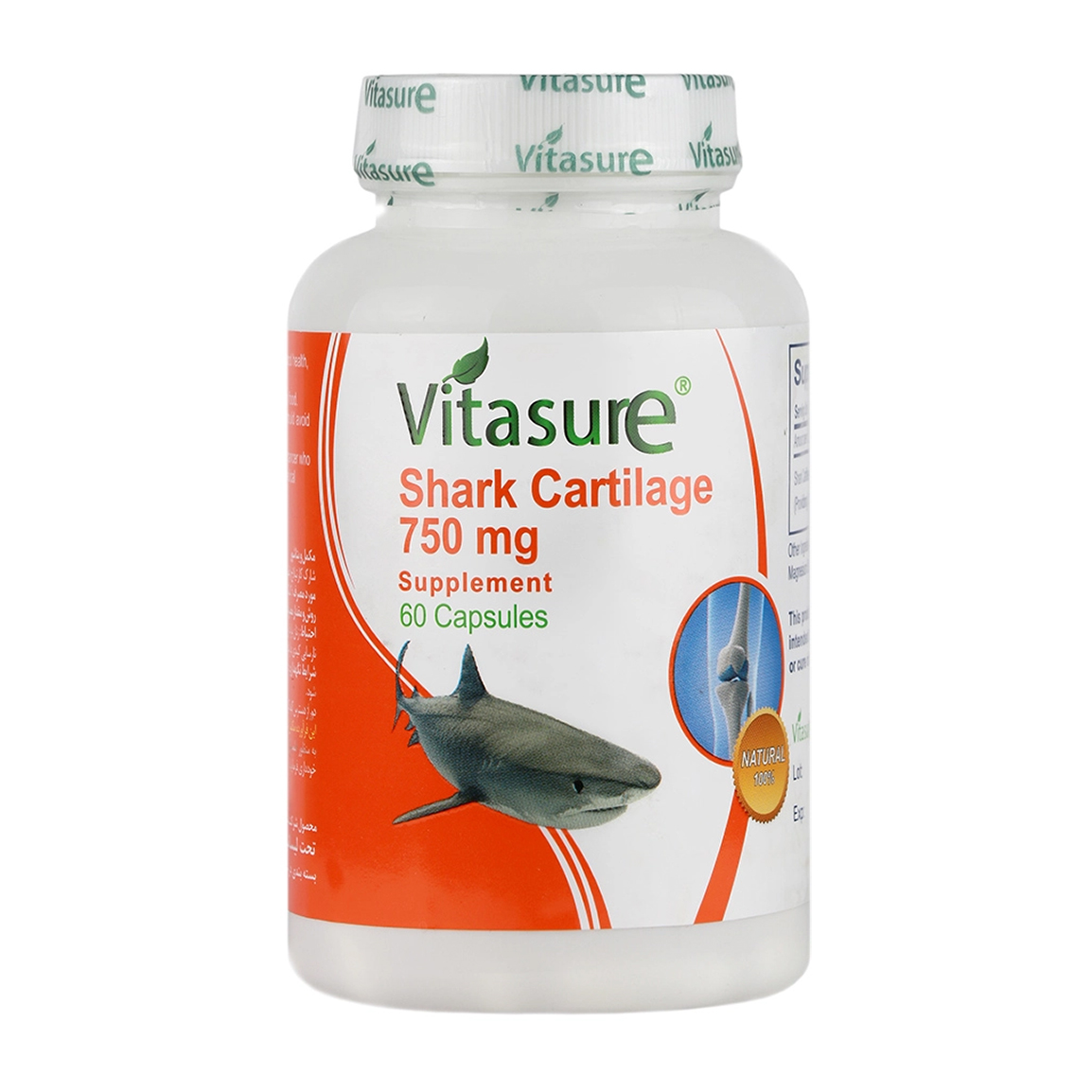 کپسول غضروف ساز Shark Cartilage بسته 60 عددی